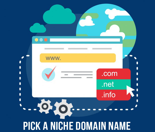 Pick a Niche Domain Name