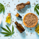 CBD Business Plan